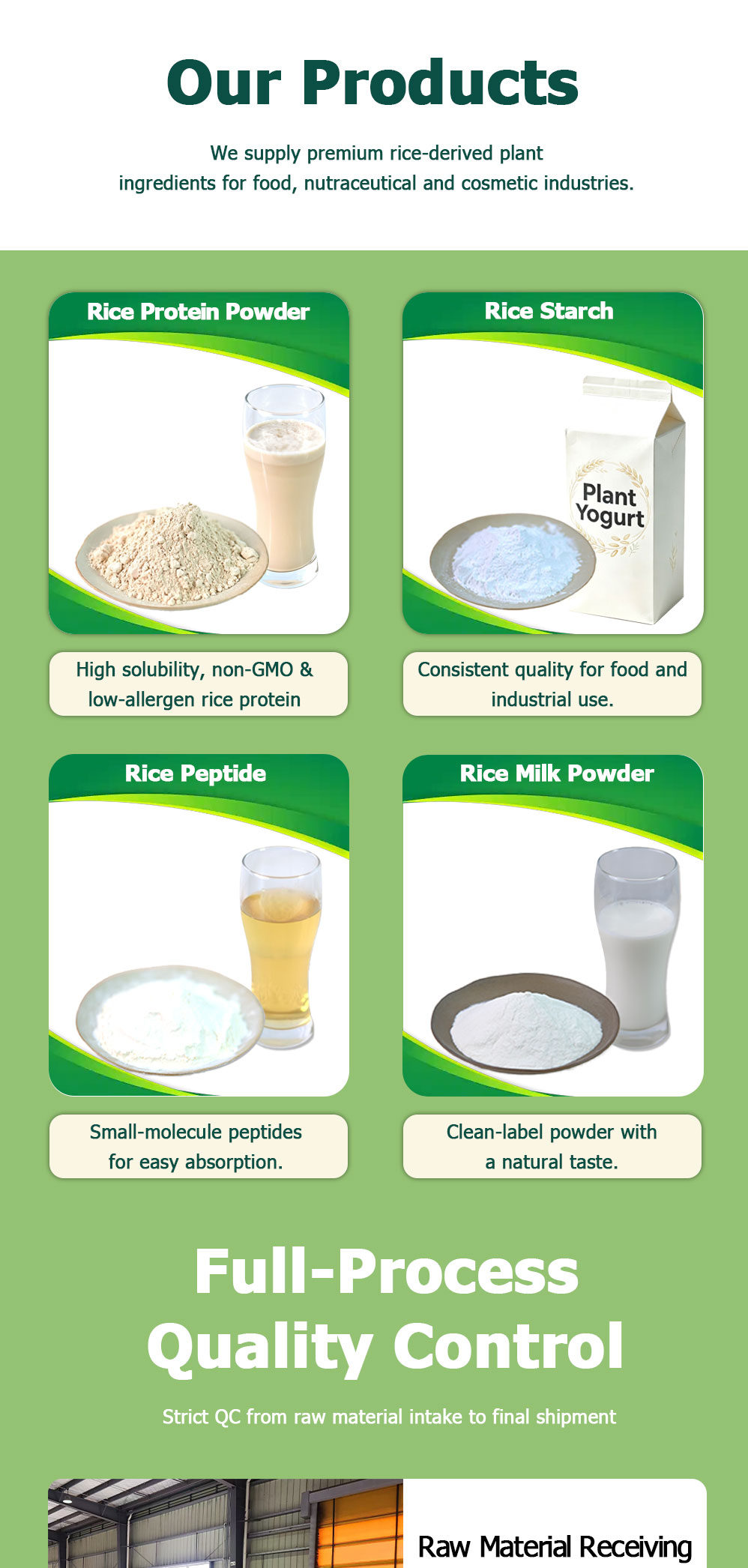 High Solubility Rice Protein Powder | Food Grade Plant Protein | SHUNXIN SHENGYUAN