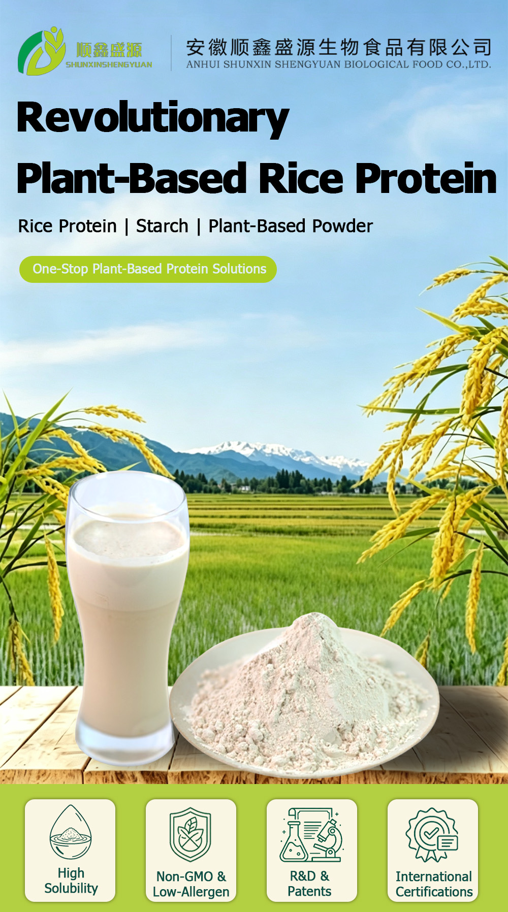 Hydrolyzed Rice Protein Powder | Food Grade Plant Protein | SHUNXIN SHENGYUAN
