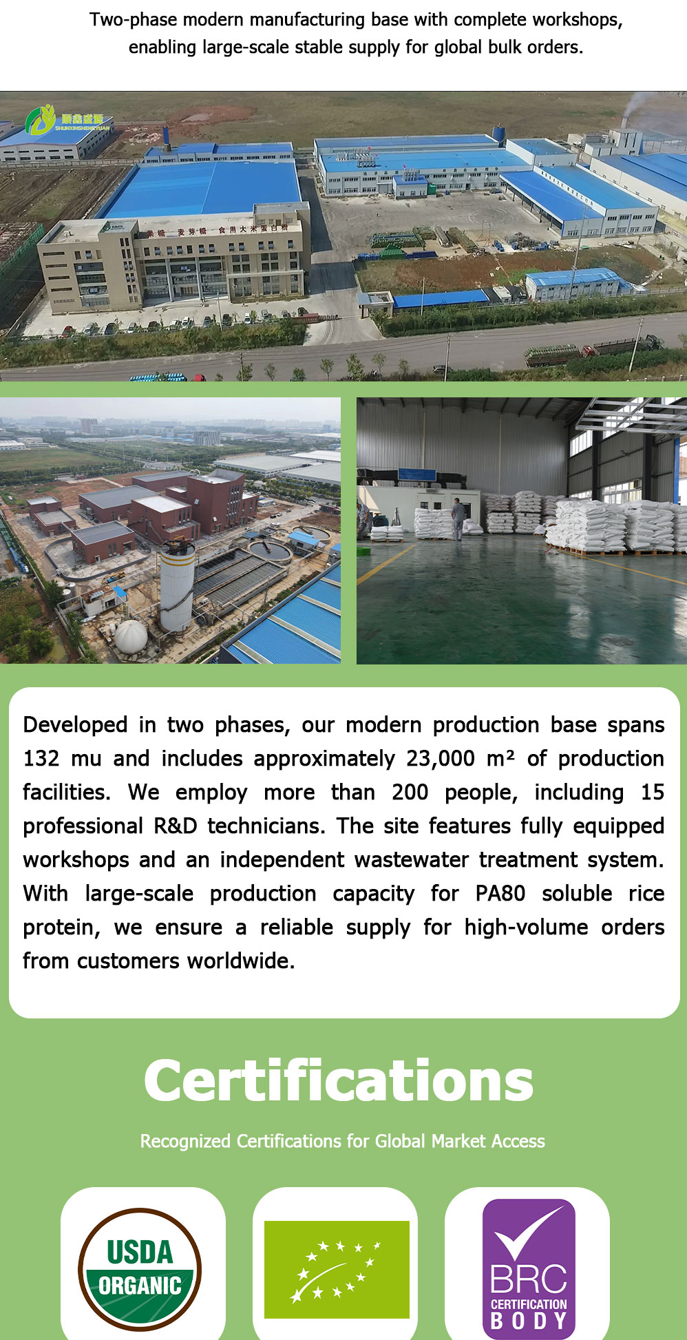 High Solubility Rice Protein Powder | Food Grade Plant Protein | SHUNXIN SHENGYUAN