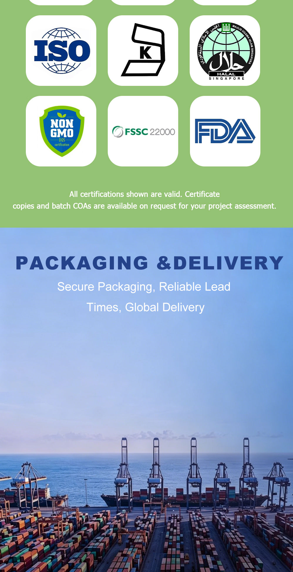 High Solubility Rice Protein Powder | Food Grade Plant Protein | SHUNXIN SHENGYUAN