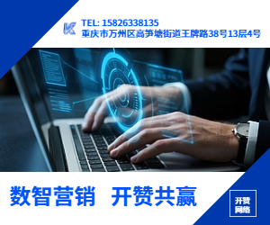 数智营销共赢新局