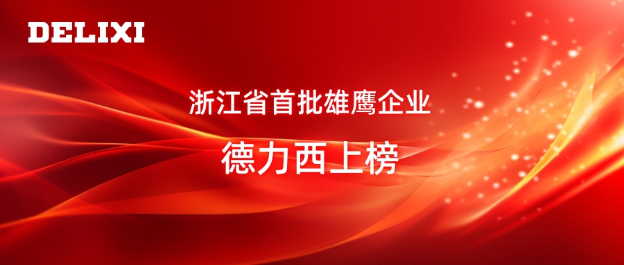 德力西集團(tuán)榮膺首批浙江省雄鷹企業(yè)