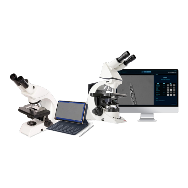 松材線蟲智能鑒定系統