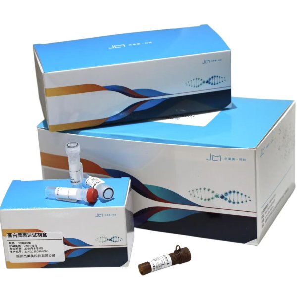 熒光定量PCR應用試劑盒