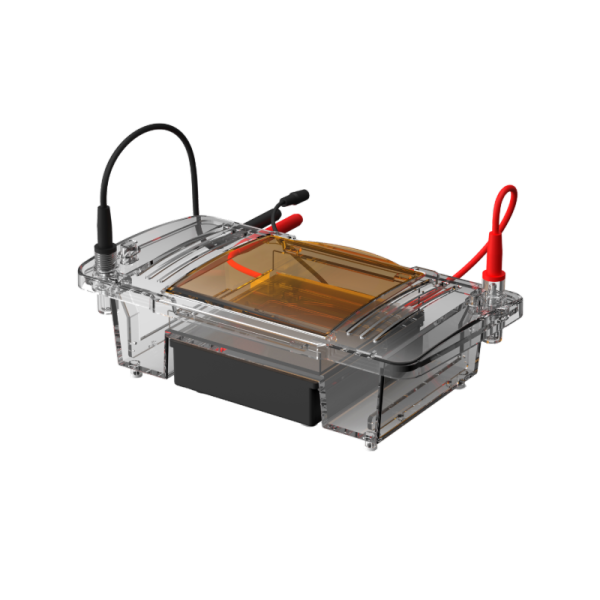 一體式水平電泳槽