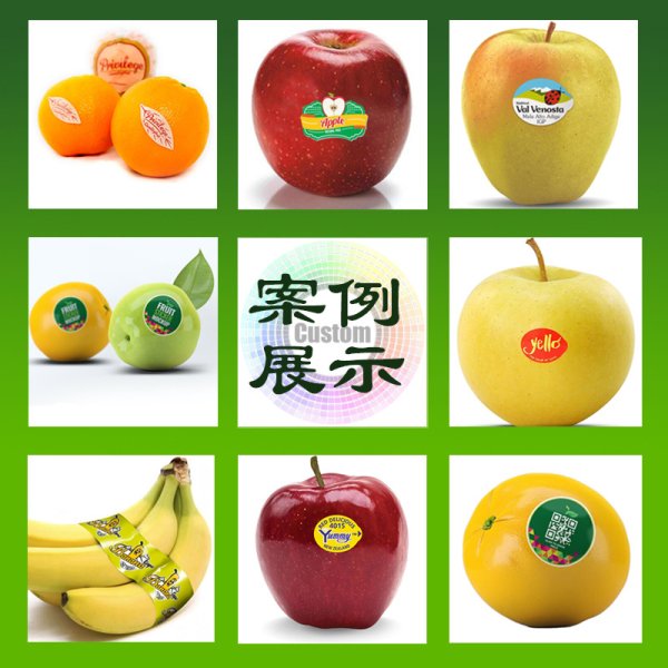 不干膠廠家印刷銅版紙卷筒印刷貼紙超市標(biāo)價(jià)標(biāo)簽彩色標(biāo)簽水果標(biāo)簽