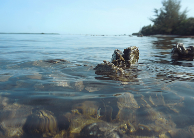 東莞廢水檢測(cè)實(shí)驗(yàn)室哪家好 服務(wù)為先 廣東蔚藍(lán)生態(tài)環(huán)境科技供應(yīng)