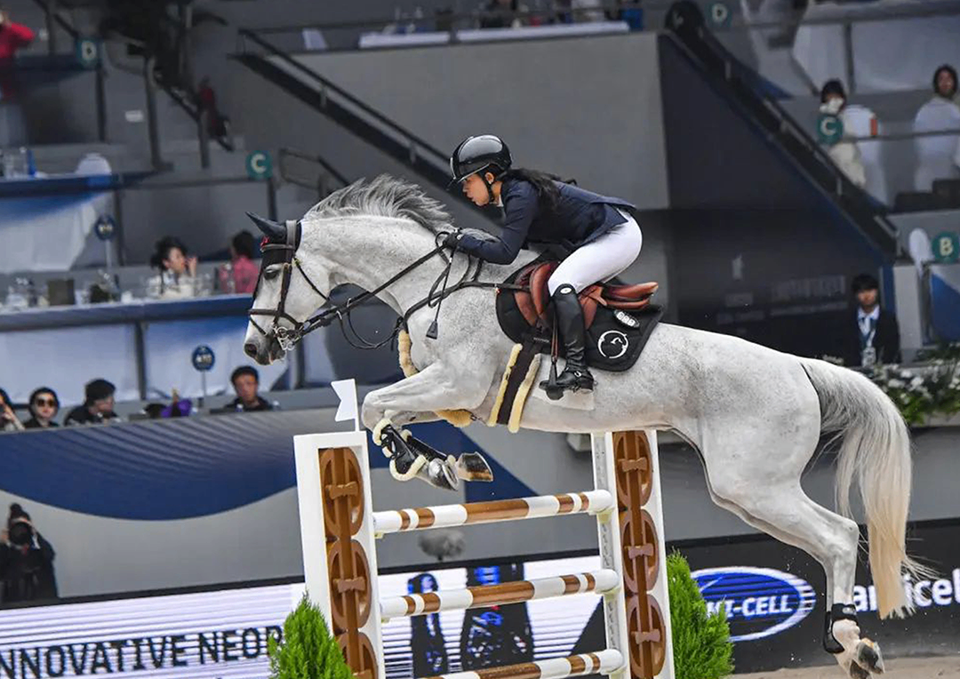 案例｜马术馆首秀上海浪琴环球马术冠军赛成丰连接方案解析