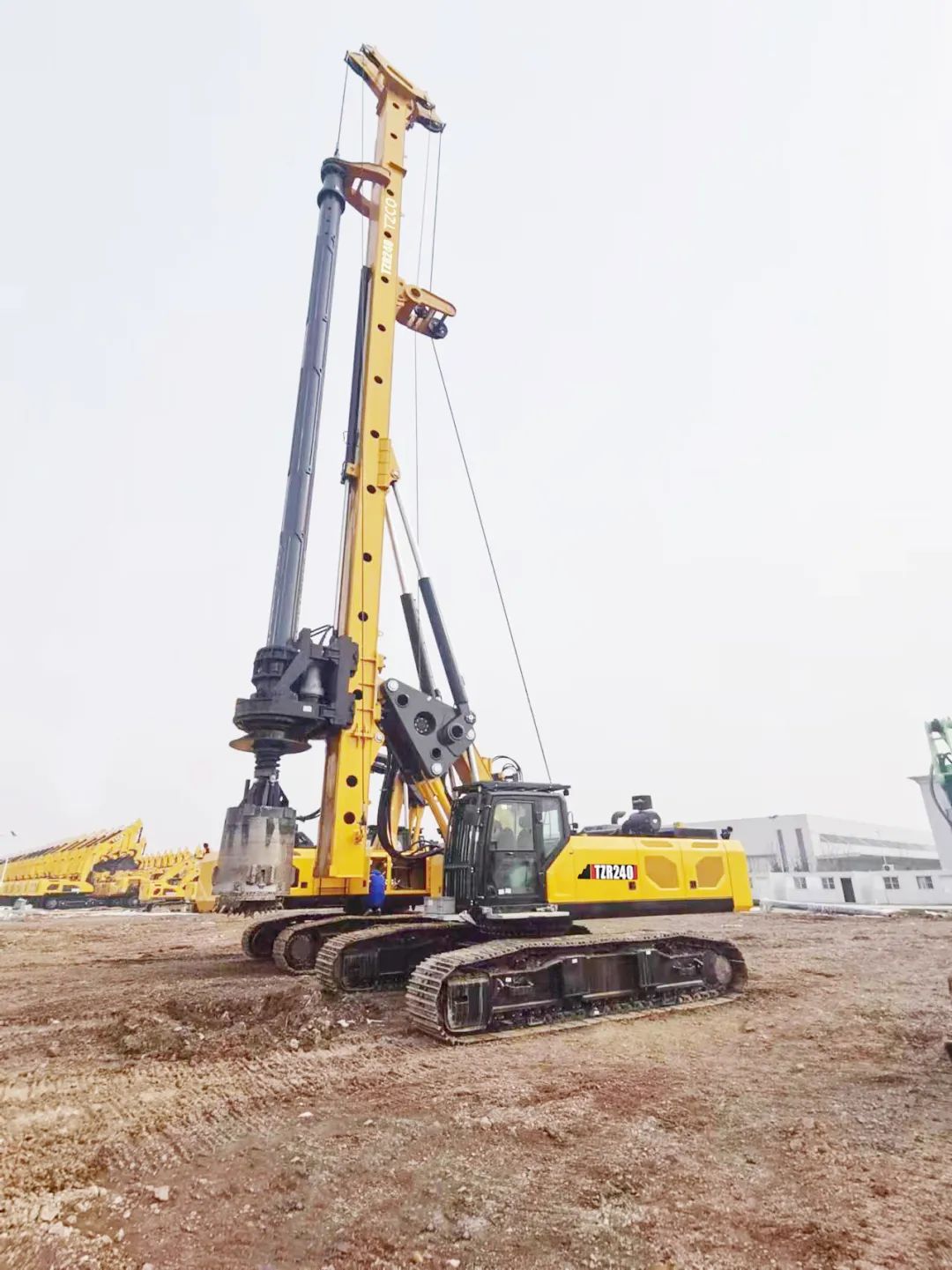 日本人妻与黑人HD