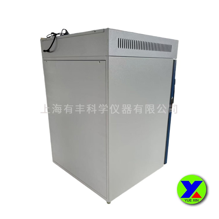 電熱恒溫培養箱DHP系列