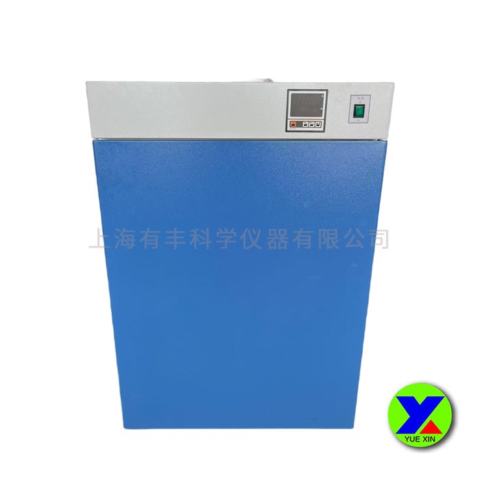 電熱恒溫培養箱DHP系列