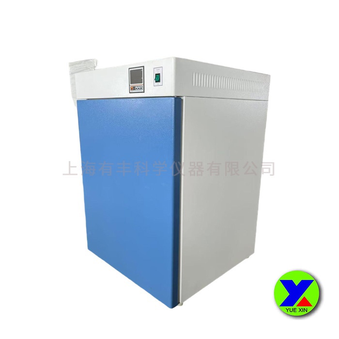 電熱恒溫培養箱DHP系列