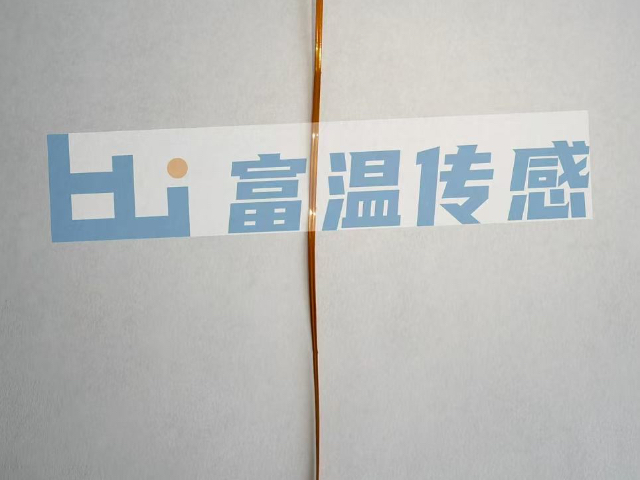 鄭州溫度傳感器哪家質(zhì)量好 安徽富溫傳感技術(shù)供應(yīng)