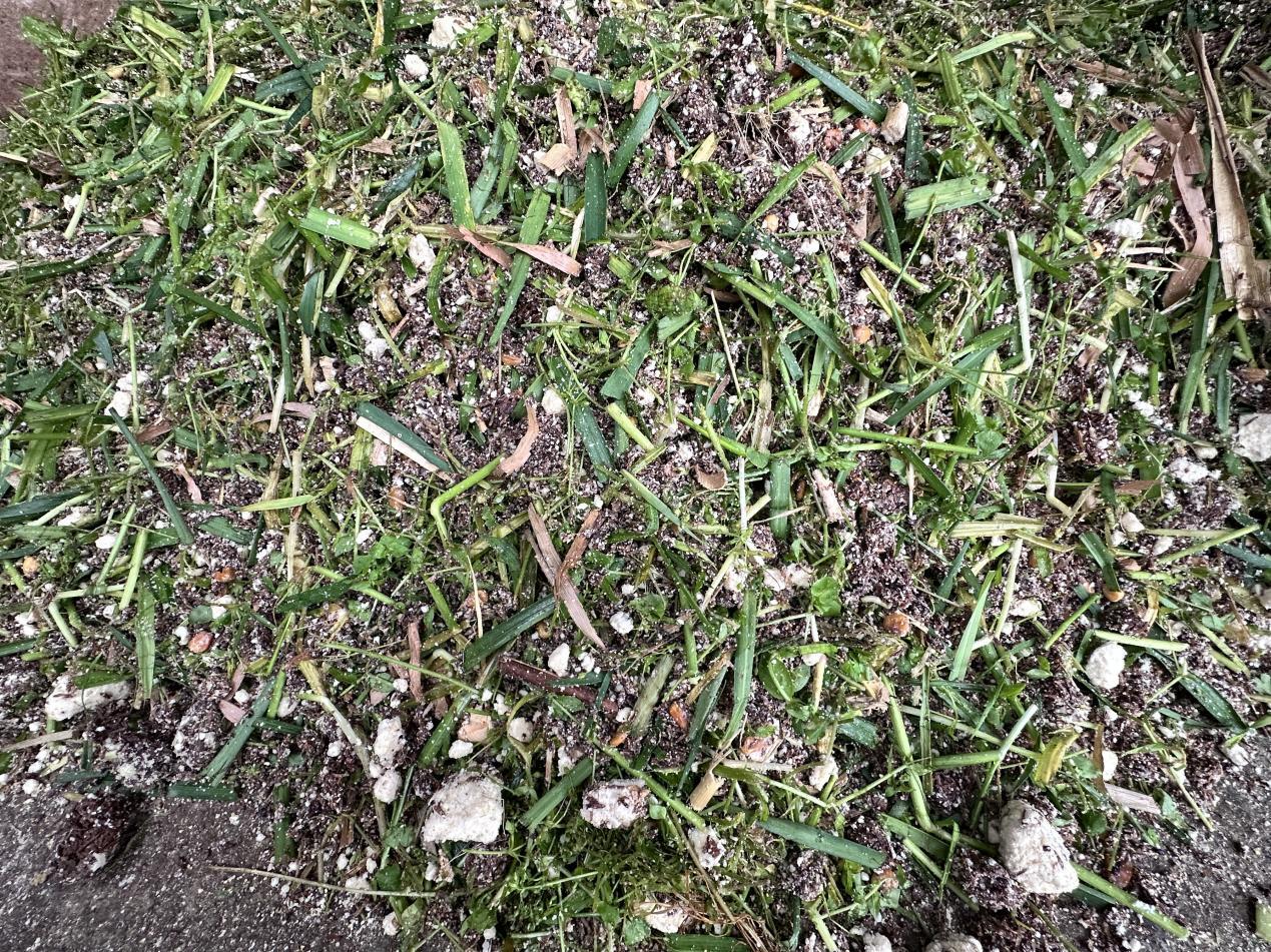 微信图片_20240412092152