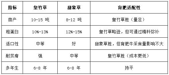 皇竹草和甜象草