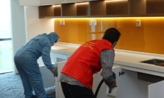 崇明区质量空气净化供应商,空气净化