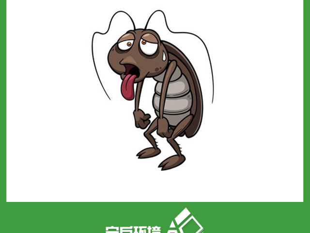 徐汇区本地虫害防治价格表,虫害防治