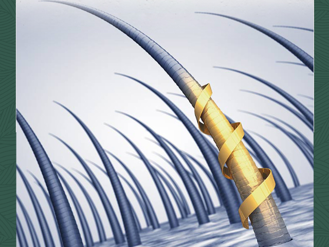 環(huán)保染發(fā)膏官網(wǎng) 廣州綠蒎生物科技供應(yīng)