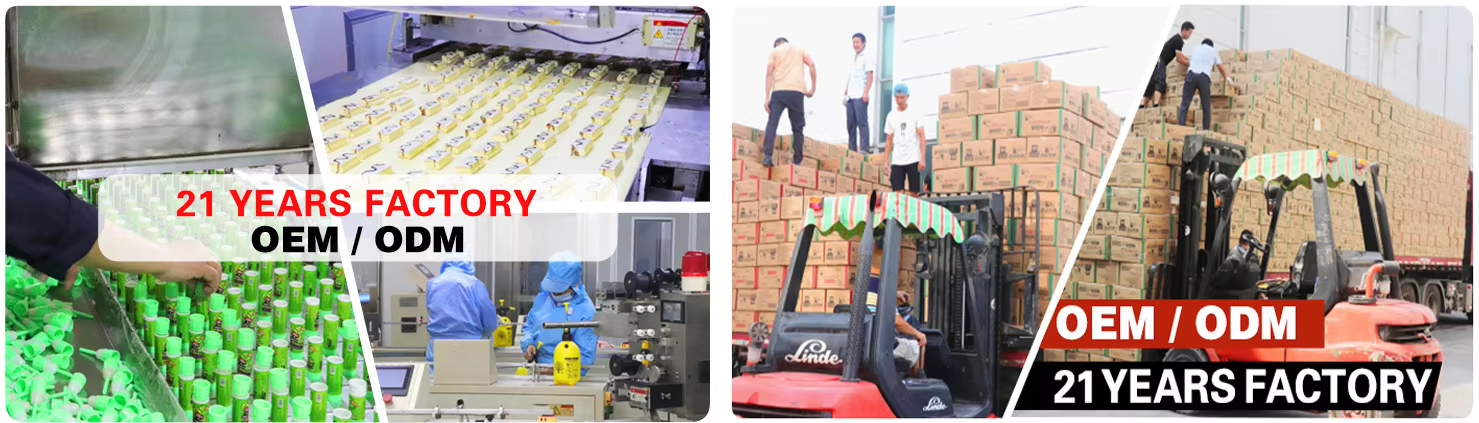 Sugar-Free Mints (Original Mint Flavor) with 20 Years of Factory OEM/ODM Experience Sugar-Free Mints (Original Mint Flavor) with 20 Years of Factory OEM/ODM Experience