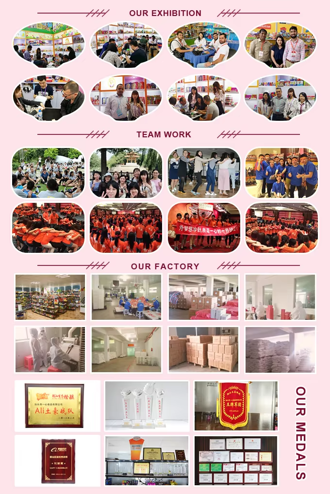 Sugar-Free Mints (Original Mint Flavor) Factory Exhibition