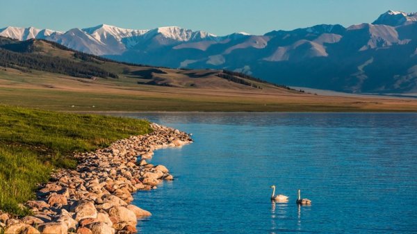 新疆賽里木湖環(huán)湖湖泊生態(tài)基礎(chǔ)設(shè)施建設(shè)項目