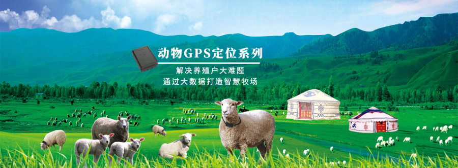 牛羊定位器哪種好 值得信賴 上海物和電子科技供應