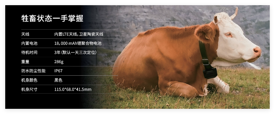 牲畜定位項圈價格 誠信服務 上海物和電子科技供應