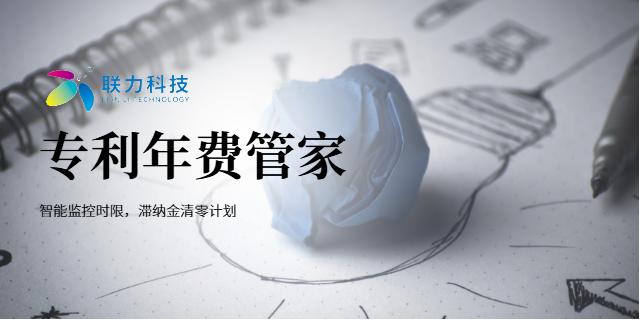 北京實用新型專利申請官費 中山市聯力知識產權服務供應