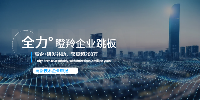 廣東跨境電商企業(yè)高新技術企業(yè)認定辦理時間 中山市聯力知識產權服務供應