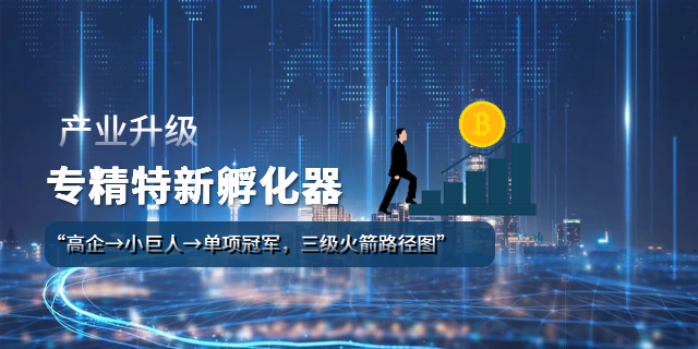 珠海生物制藥企業(yè)高新技術企業(yè)認定審計費用 中山市聯力知識產權服務供應
