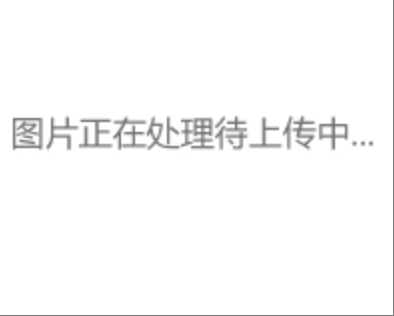 聚合物制品阻燃試驗機FS5307A