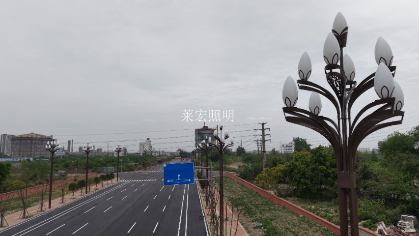 solar street light,路灯