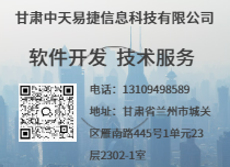 軟件開發(fā)技術(shù)服務(wù)