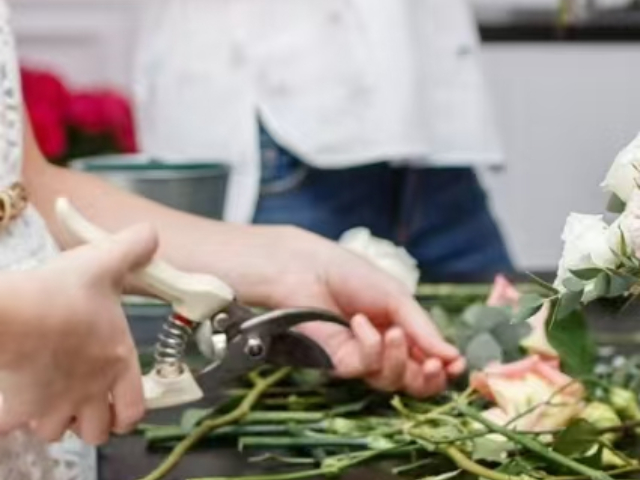 进口鲜花与花艺制品服务热线,鲜花与花艺制品