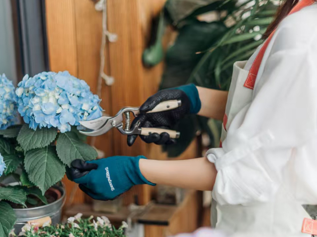 新鲜鲜花与花艺制品服务热线,鲜花与花艺制品