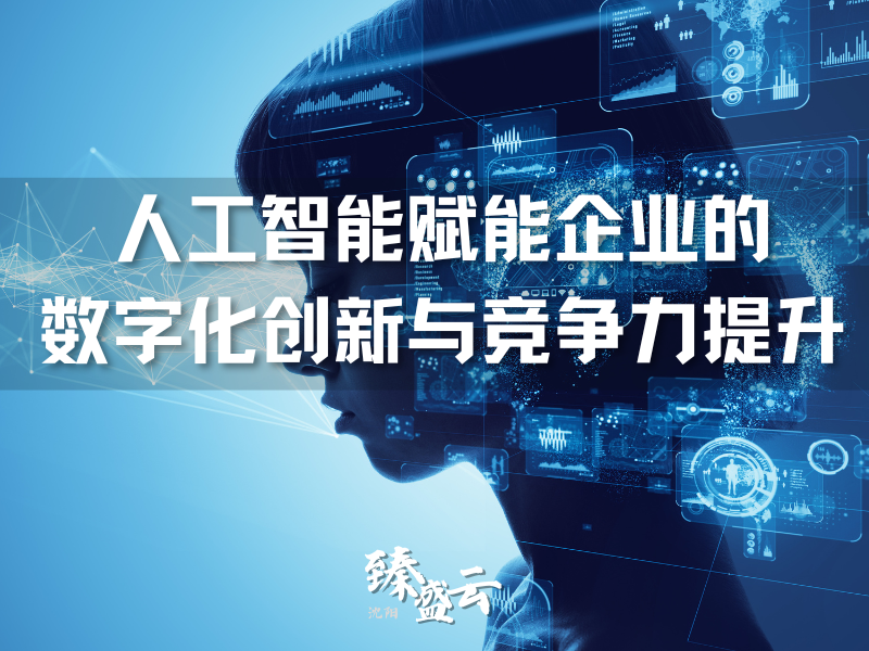 人工智能赋能企业的数字化创新与竞争力提升——沈阳臻盛云_沈阳市和平区臻盛云计算机网络科技所|沈阳臻盛云