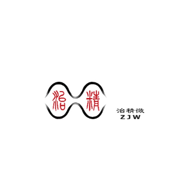 上海治精微電子有限公司