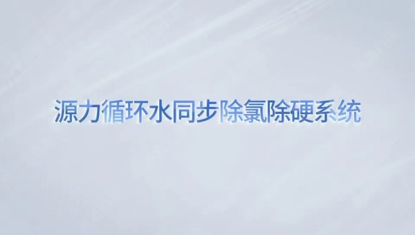 循環(huán)水同步除氯除硬系統(tǒng)