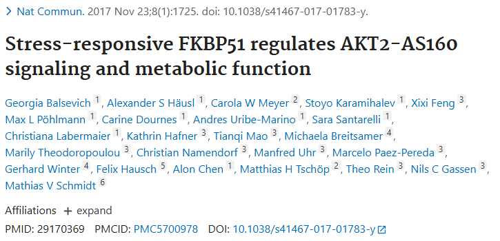 [TargetMol Star Molecule] - SAFit2: Precision Modulation of FKBP51 Unlocks Metabolic and Neurotherapeutic Potential