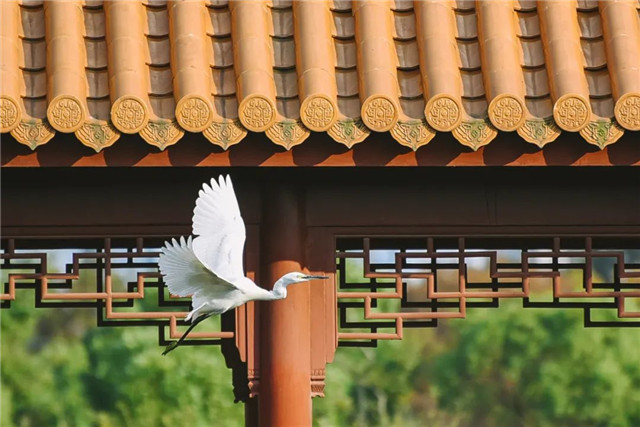 海港城景觀墓地怎么買,公墓