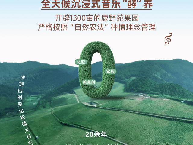 丽江本心健康怎么样,本心健康