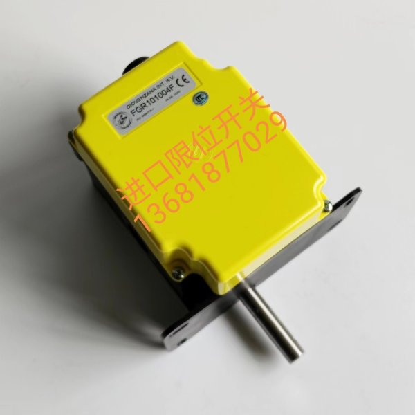 意大利GG限位開關FGR101004F