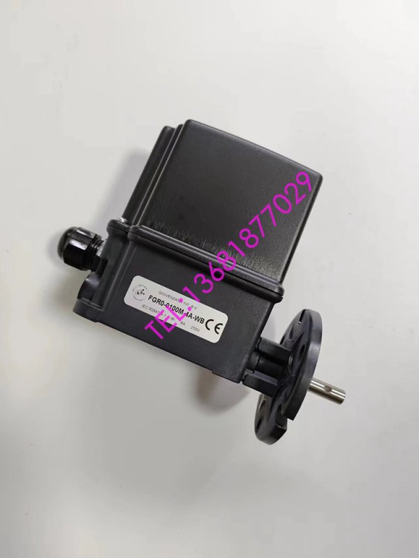 意大利GG限位開關FGR0-0100M-4A-WB