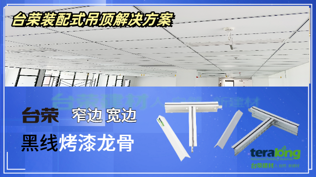 上海T型烤漆龙骨定制 台荣建材供应