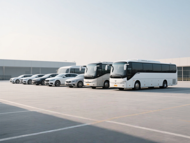 四川音樂(lè)節(jié)包車服務(wù)露營(yíng)游 四川明陽(yáng)悅行商務(wù)服務(wù)供應(yīng)