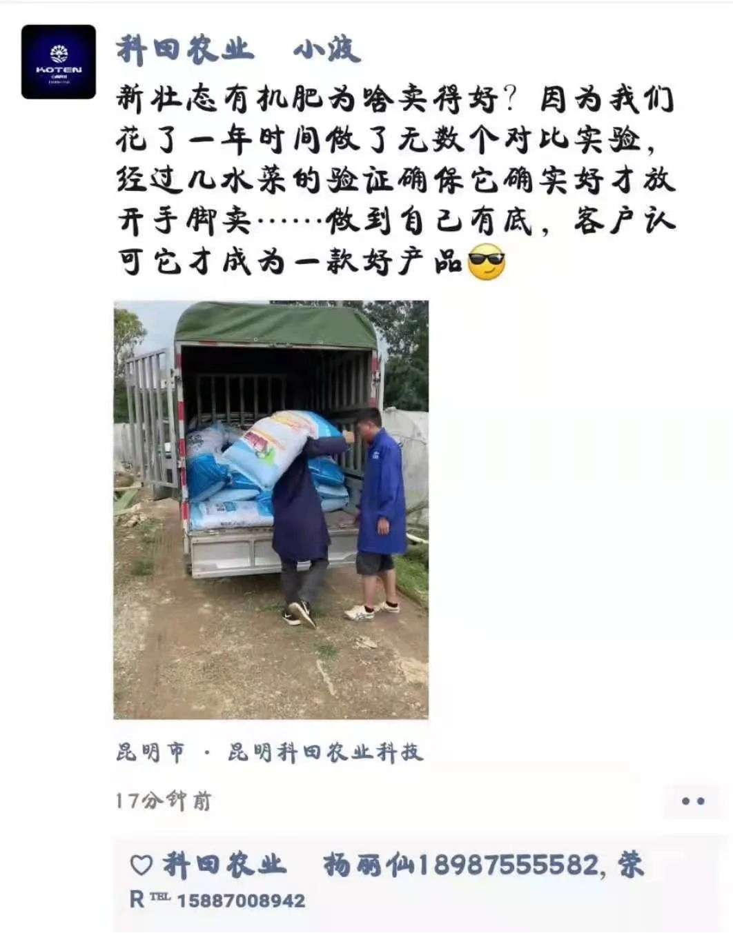 新壯態(tài)在生菜、油麥菜、黃白菜上效果展示