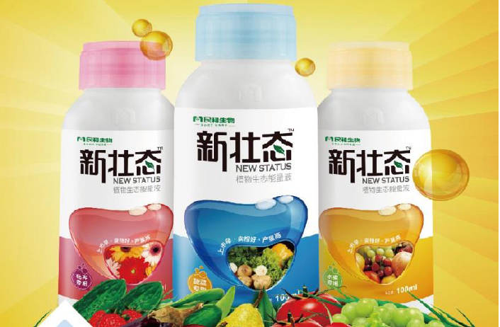 民和新壯態(tài)