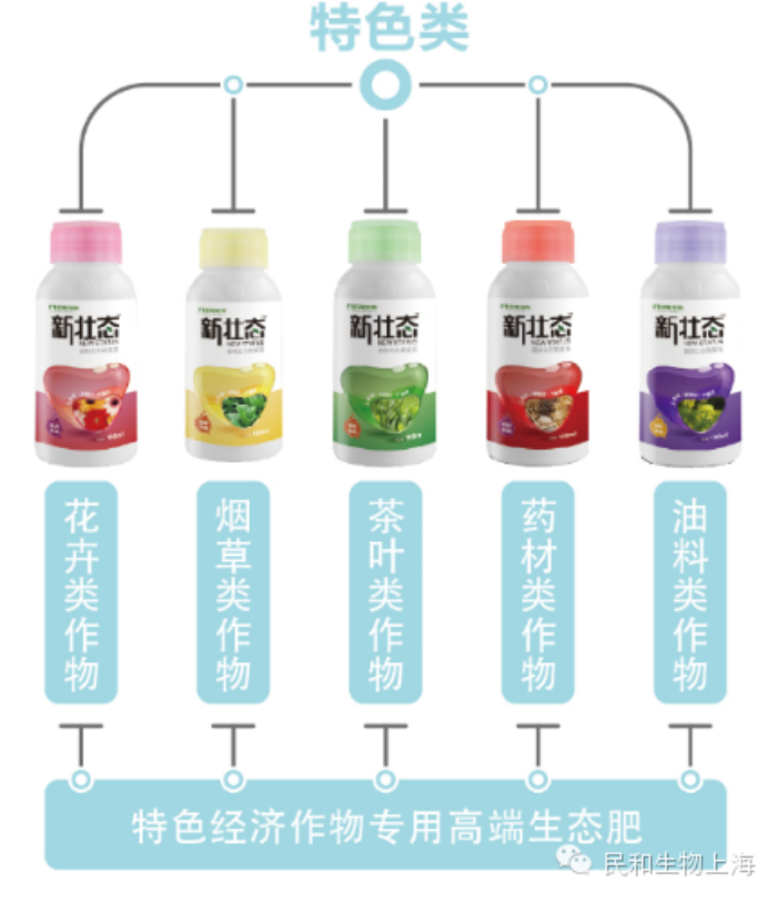 民和新狀態(tài)品牌