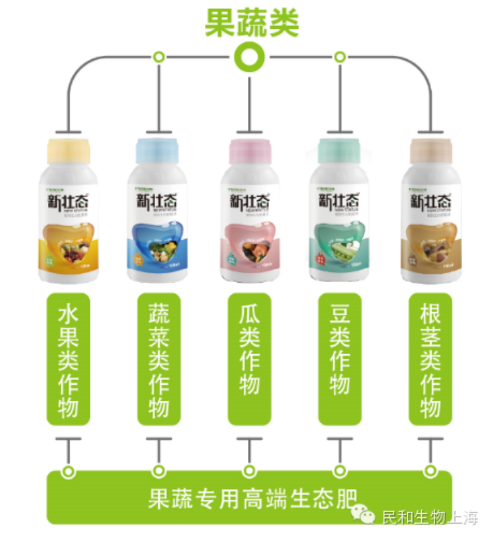 民和新狀態(tài)品牌