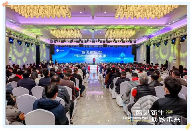 喜報！霆翔電氣榮獲外岡鎮(zhèn)2024年度出色企業(yè)“先進制造業(yè)開拓獎”